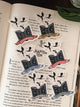 BOOK DRAGON STICKER